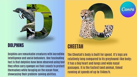 Letter Poster Design | FREE Template 👇🏾| Canva Tutorial