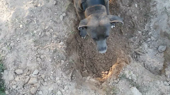 Can't use a shovel but can use my foot! LOL
