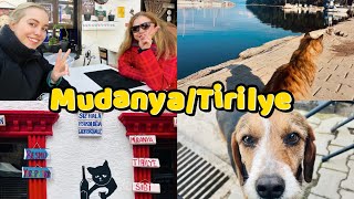 GÜNÜBİRLİK ROTA 🐬 MUDANYA/TİRİLYE