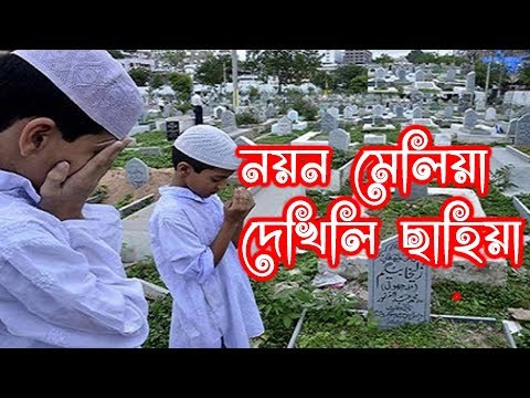 নয়ন-মেলিয়া-দেখিনি-চাহিয়া