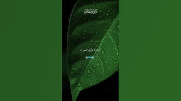 تلاوه جميله بصوت الشيخ ياسر الدوسري آيات من سورة غافر
