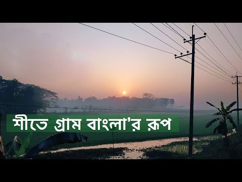 ভিডিও: শীতে ভোলগায় কীভাবে পাইক পার্চ ধরবেন