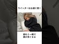 aespa ウインターの雑学 #aespa #ウインター #冬子【K-POP 速報】