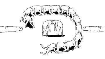 WHAT THE HELL JUST HAPPENED?! | Plug and Play