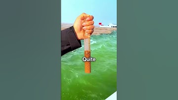 Why Pacific and Atlantic Don’t Mix 😨