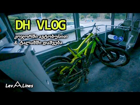 DH VLOG კოჯორი ავტობუსით და საღამოს ველო დაშვება