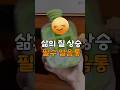 삶의 질을 올려주는 여름필수 얼음통♡