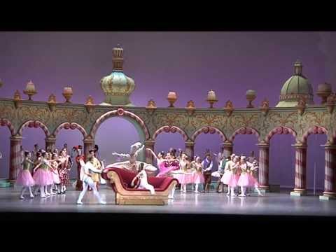 Видеоролик: Дрезденская государственная опера