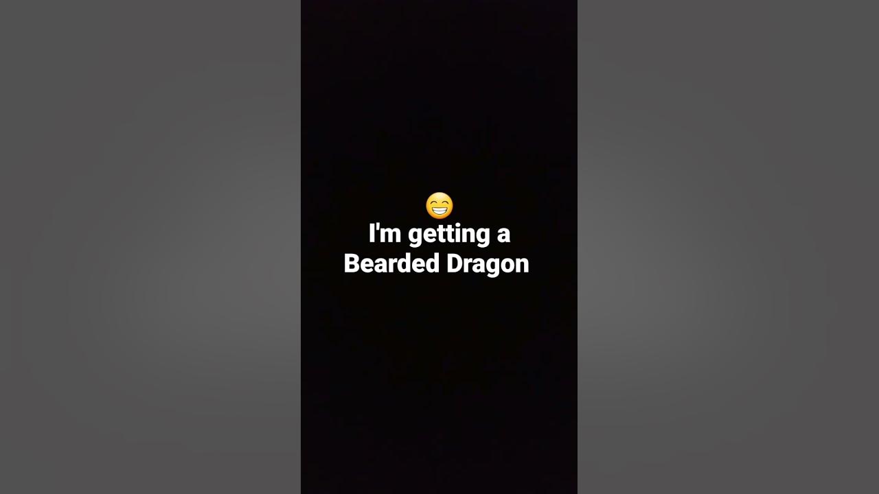 i-m-very-excited-youtube