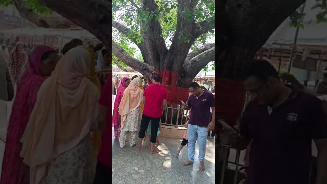 Peepal Ka Ped chulkana Dham YouTube Peepal Ka Ped chulkana Dham YouTube