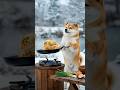 みんな大好きパラパラのあれに挑戦！#dog #柴犬 #chef #犬