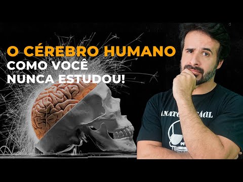 Vídeo: O Que Sabemos Sobre As Capacidades Do Cérebro