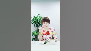 1725523073 1000953 mp3