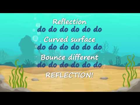 Science Song   Reflection vs Refraction