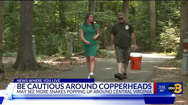 What to do if you see a Copperhead in central Virginia