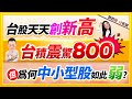 郭哲榮分析師【台股天天創新高 台積震驚800 但為何中小型股如此弱?】2024.04.09