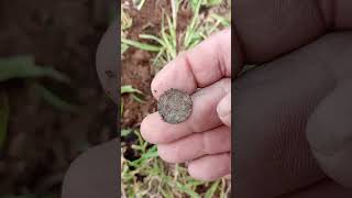 ENCUTRA MONEDA DE PLATA EN JALISCO ⛏️??⛏️?