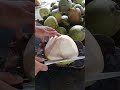 Fast hands. Clean cut. Global money 💸🥥🌴#coconut#asmr#satisfying#oddlysatisfying#foodprocess