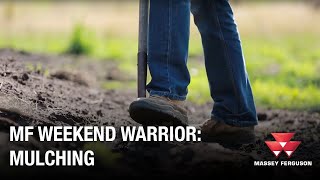 MF Material Handling Weekend Warrior | Overview screenshot 4