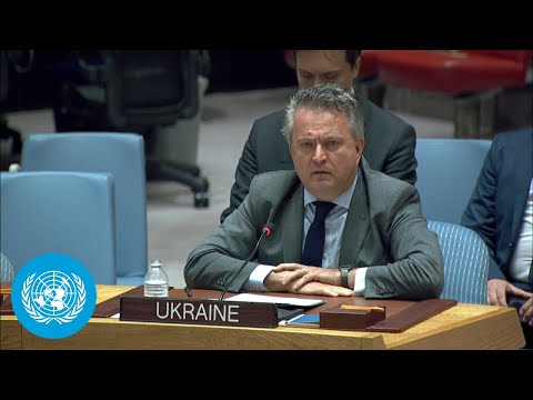 Threats to international peace and security: un security council meetings | full