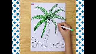 Hướng dẫn vẽ cây dừa đơn giản | Cách vẽ tranh cây dừa đơn giản | How to draw coconut tree easy