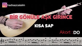 Hadi Saz Çalalım - Bir Gönüle Aşk Girince