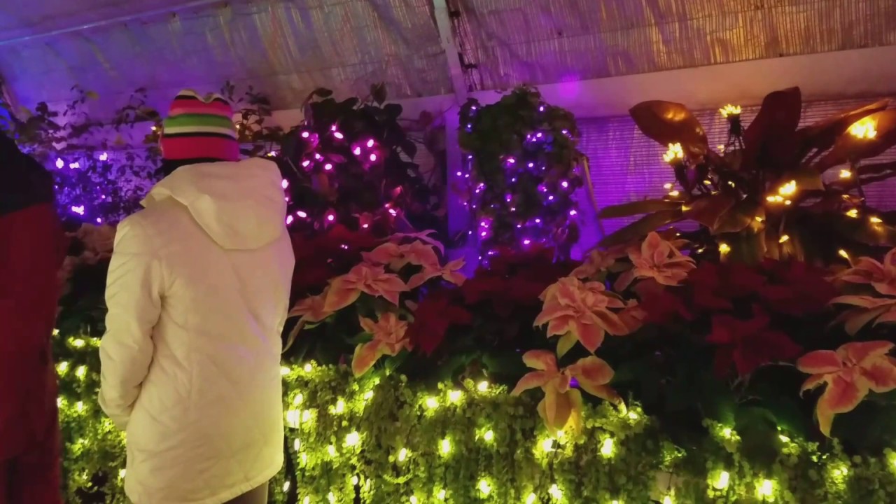 Manito Conservatory Light Show YouTube