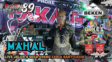 Pasukan Elit Paka 89 Music | Mahal | Live Jalur 8 Upang Ceria Banyuasin | WD Firda And Buha