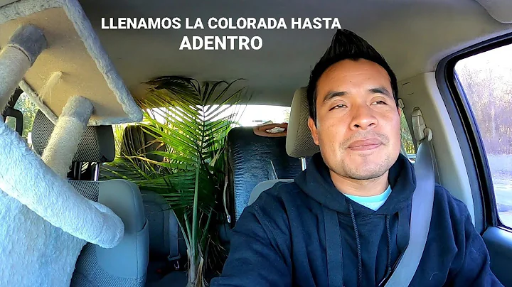Increible todo lo que encontre en la basura