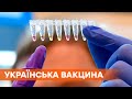 Украинская вакцина от коронавируса: на какой стадии разработка и стоит ли ее ждать