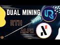 Rethereum (RTH) and Alephium (ALPH) Dual Mining in Hiveos | SRB Miner 2.3.5