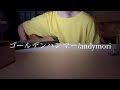 ゴールデンハンマー/andymori  弾き語り