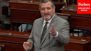 BREAKING NEWS: Ted Cruz Excoriates Dems For Pushing 'Deliberately False' Claims About Contraception