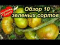 СОРТА ЗЕЛЕНЫХ ТОМАТОВ.  Обзор 10 сортов