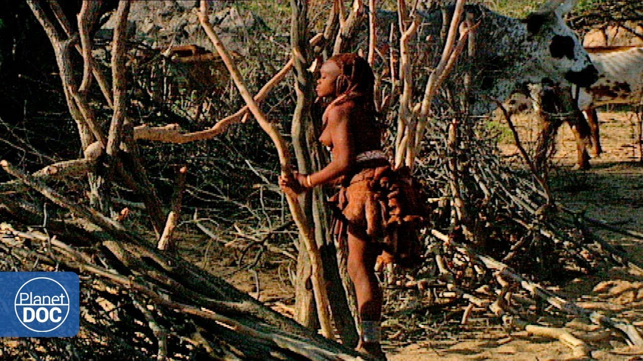 Documentary backdrop image for Inhabitants of the Namib. The Oldest Desert in the World - Part 4 (2019)