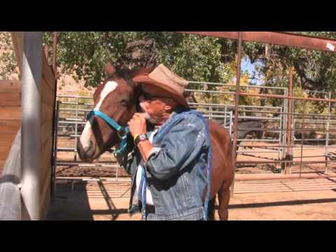 Training Wild Mustangs Chapter 8 with Patricia Barlow-Irick