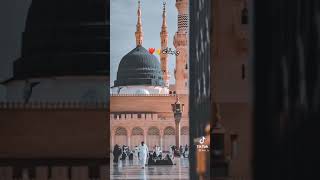 طاهر القلبنقي ذاكر لله  عليه أفضل الصلاة والسلام 