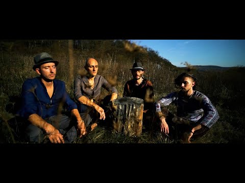iarba Fiarelor - Domnișor (Official video)
