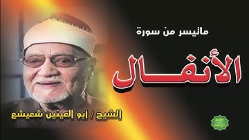 الشيخ ابوالعينين شعيشع ماتيسر من سورة الأنفال