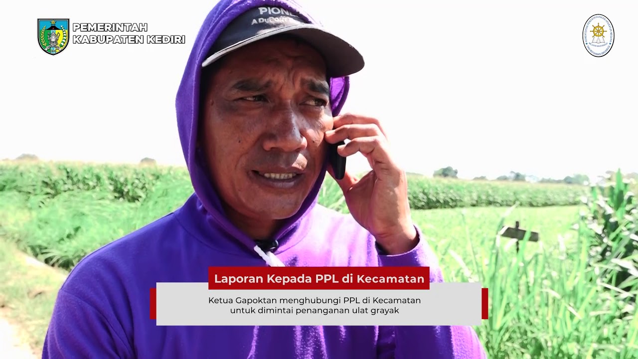 INOVASI METARHIZIUM (MENGAMANKAN PANGAN UNTUK NEGERI) - TOP 99 NASIONAL - AUTOVIRAL!!!