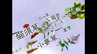 Easy Pha-max I Believe Promo (2008)