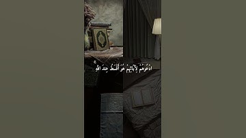 ماهر المعيقلي تلاوة خاشعة || تلاوة قصيرة رائعة 🤍😍