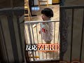 おじいちゃんが好きすぎてママへの反応が薄くなる1歳孫 #1歳 #赤ちゃん #おじいちゃん #赤ちゃんのいる生活 #家族