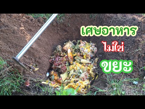 มันคือ “ปุ๋ย” เศษอาหาร ไม่ใช่ขยะ จัดการได้ในครัวเรือน | เกษตรกรชาวบ้าน