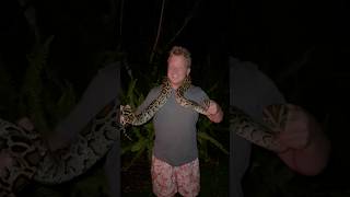 Famous Catch and Cook Invasive Burmese Python! Net Worth