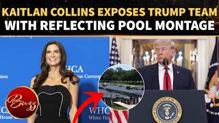 Kaitlan Collins Airs Explosive Montage Exposing Trump Team Contradictions In Reflecting Pool Case