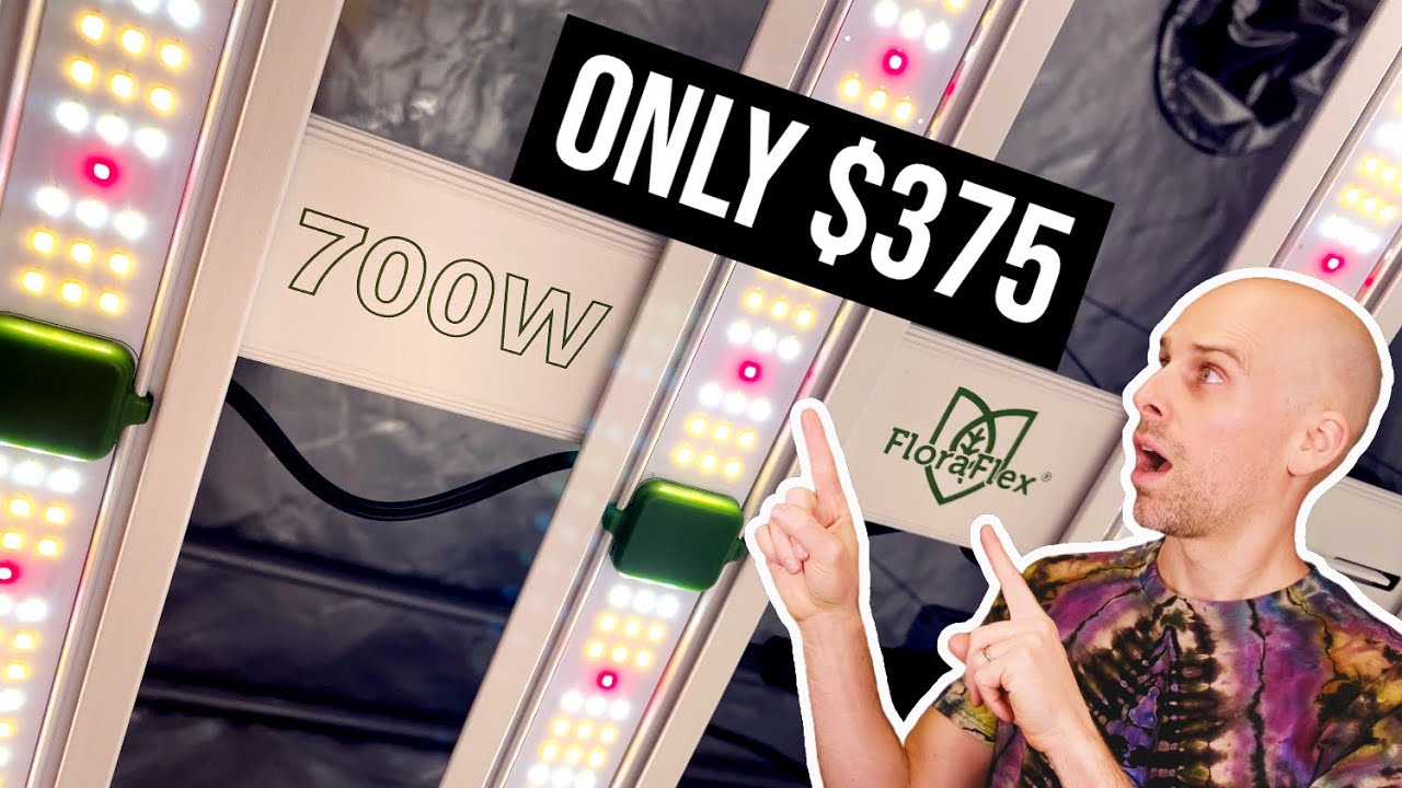 Обзор светодиодного фитолампа FloraFlex 700 Вт | 0,51 $/Вт!