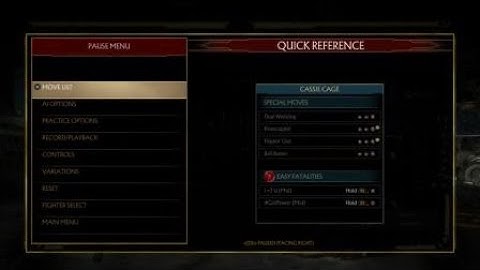 Fuzzy guard in flawless block attacks Sub-Zero‘s overhead