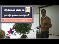 ¿Estamos Hechos para Vivir en Pareja para Siempre? Iñaki Vázquez. I Jornadas Samastah 1/2