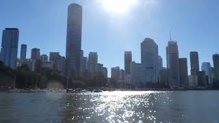 Brisbane River Citycat Ride